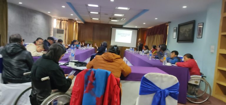 Pre- consultation on shadow report of UNCRPD